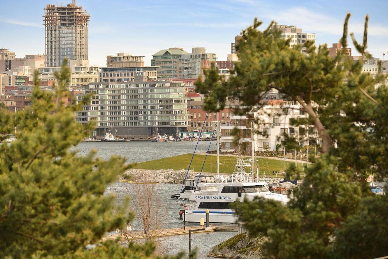 Appartement Harbourview Executive *